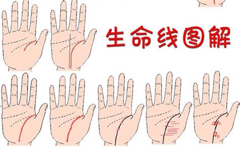 手纹线三条线各代表什么图片_手纹线三条线各代表什么怎么看,第7张 手纹线三条线各代表什么图片_手纹线三条线各代表什么怎么看,第7张