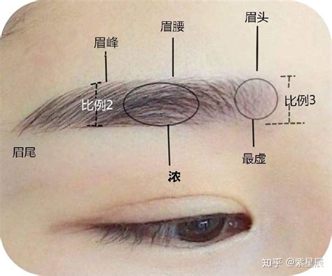 男人眉毛淡好不好_男人眉毛淡怎么样,第10张 男人眉毛淡好不好_男人眉毛淡怎么样,第10张