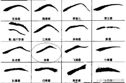 高低眉面相女人_高低眉面相男人,第12张 高低眉面相女人_高低眉面相男人,第12张