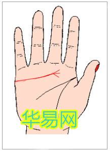 感情线末端分叉像树枝_感情线末端分叉是什么意思,第18张