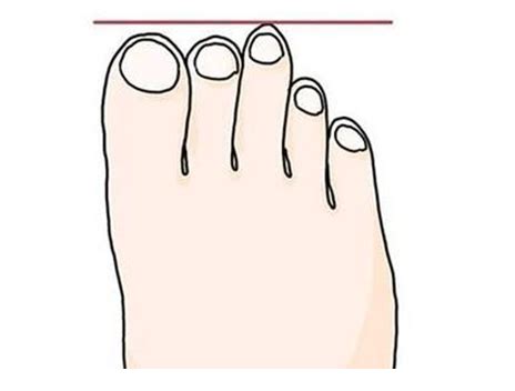 5个脚趾长短看命运图_5个脚趾长短看命运图男,第18张 5个脚趾长短看命运图_5个脚趾长短看命运图男,第18张