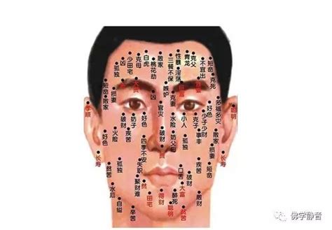 男人10处有痣是富贵痣_男人10处有痣是富贵痣图解,第7张 男人10处有痣是富贵痣_男人10处有痣是富贵痣图解,第7张