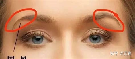 眉骨高的男人命运如何_眉骨高的男人什么命,第13张 眉骨高的男人命运如何_眉骨高的男人什么命,第13张