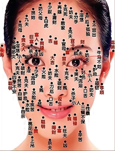 男人脸上十大福痣图片_男人脸上十大福痣图片耳朵后面有痣,第7张 男人脸上十大福痣图片_男人脸上十大福痣图片耳朵后面有痣,第7张