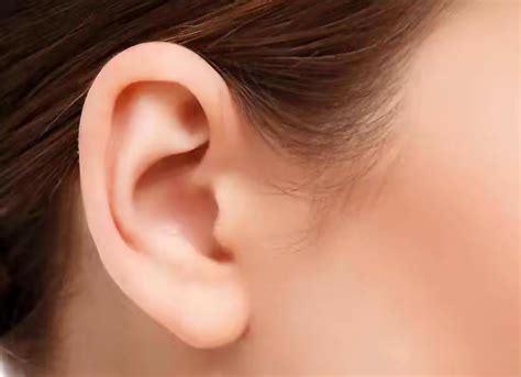 有后福的女人面相长脸_有后福的女人面相分析,第16张 有后福的女人面相长脸_有后福的女人面相分析,第16张