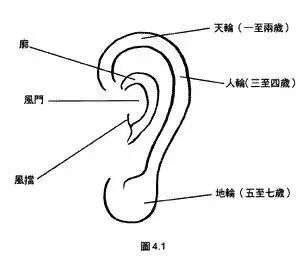 耳朵形状与命运图解女_女人耳朵形状与命运图解,第12张