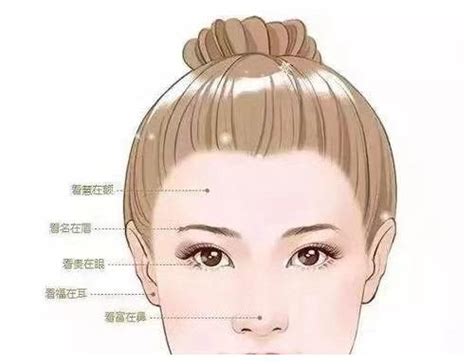 有后福的女人面相五官_有后福的女人面相五官怎么样,第7张 有后福的女人面相五官_有后福的女人面相五官怎么样,第7张