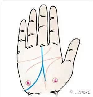 事业线分叉是什么意思_事业线有岛纹代表什么,第8张 事业线分叉是什么意思_事业线有岛纹代表什么,第8张