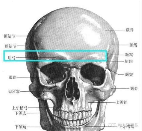 眉骨高的男人命运如何_眉骨高的男人什么命,第14张 眉骨高的男人命运如何_眉骨高的男人什么命,第14张
