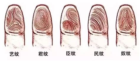 女人手指斗簸箕看命运_手指斗簸箕看命运准吗,第8张 女人手指斗簸箕看命运_手指斗簸箕看命运准吗,第8张