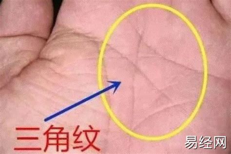 事业线分叉是什么意思_事业线有岛纹代表什么,第9张 事业线分叉是什么意思_事业线有岛纹代表什么,第9张