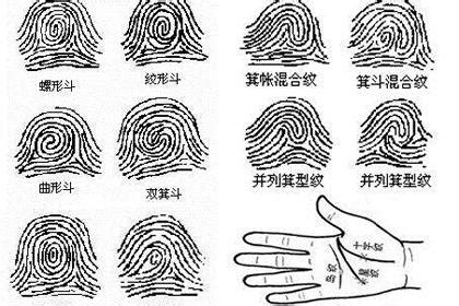 女人手指斗簸箕看命运_手指斗簸箕看命运准吗,第9张 女人手指斗簸箕看命运_手指斗簸箕看命运准吗,第9张