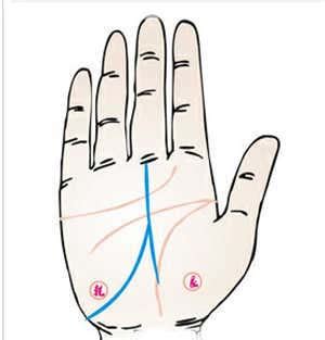 事业线分叉是什么意思_事业线有岛纹代表什么,第10张 事业线分叉是什么意思_事业线有岛纹代表什么,第10张