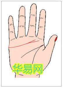 感情线末端分叉像树枝_感情线末端分叉是什么意思,第21张