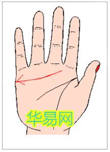 感情线末端分叉像树枝_感情线末端分叉是什么意思,第22张