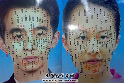 男人10处有痣是富贵痣_男人10处有痣是富贵痣图解,第11张 男人10处有痣是富贵痣_男人10处有痣是富贵痣图解,第11张