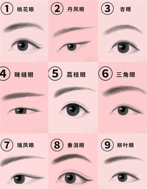 丹凤眼是什么样的_丹凤眼(单凤眼)面相解析,第2张
