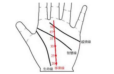 事业线是哪一条_事业线是啥意思,第6张