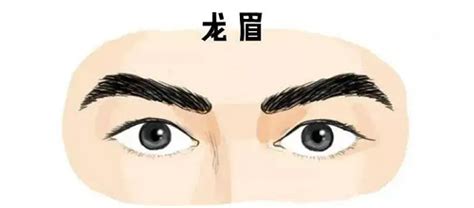 男人十大富贵眉毛_十大富贵眉毛图片男,第13张