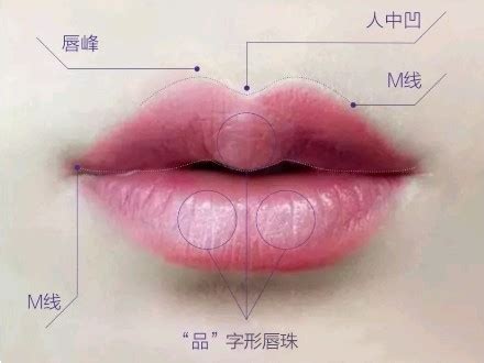 唇珠在面相中代表什么_唇珠明显的女人面相,第10张