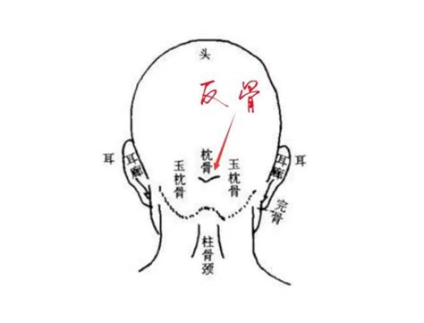 反骨是什么意思_天生反骨是什么意思,第4张