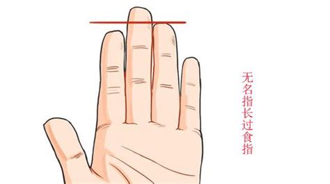 女人无名指比食指长的手相_女人无名指比食指长的手相图解,第2张