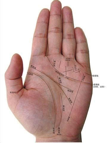 手里有川字纹的女人好吗_女性川字掌纹旺夫,第10张