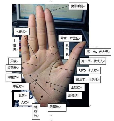 怎么看手相_怎么看手相的事业线和财运线,第2张