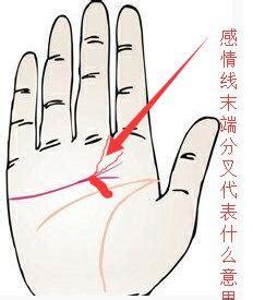 感情线末端分叉像树枝_感情线末端分叉是什么意思,第2张