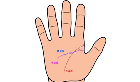 生命线事业线爱情线是哪条_生命线事业线爱情线怎么看,第2张