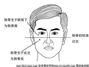 面相为鬼相的明星_面相为鬼相的明星刘嘉玲,第12张