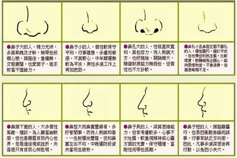 五种富贵鼻是哪五种_鼻子看相:五种富贵鼻,第7张