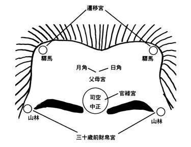 女人额头窄是不是命苦_女人额头窄命好不好,第8张