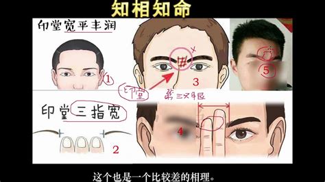 看面相怎么看财运好坏_面相如何看财运好不好,第3张