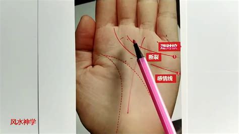 三豹纹有什么说法_什么是三豹纹手相,第8张 三豹纹有什么说法_什么是三豹纹手相,第8张