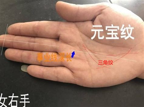 金钱线是哪一条_金钱线要怎么看,第9张 金钱线是哪一条_金钱线要怎么看,第9张