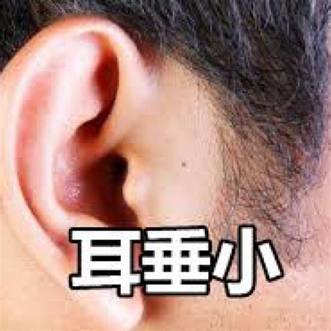 看面相怎么看财运好坏_面相如何看财运好不好,第5张