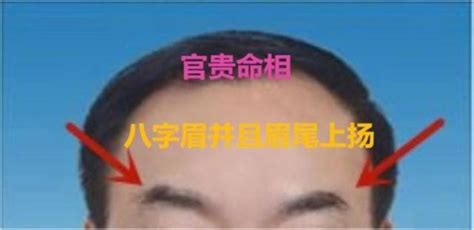 三种耳朵一辈子富贵命_三种耳朵一辈子好命,第12张