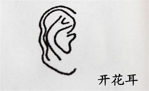 三种有福招财的耳朵是什么样子的_三种有福招财的耳朵,第6张