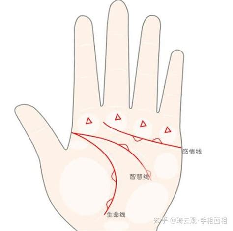 罕见的掌心三角形代表什么_罕见的掌心三角形是什么,第6张