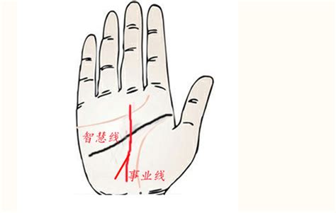 事业线长好还是短好_事业线长短代表什么,第7张 事业线长好还是短好_事业线长短代表什么,第7张