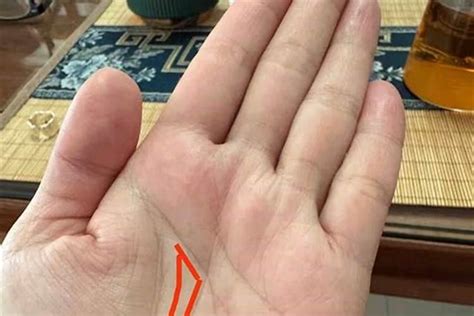 金钱线是哪一条_金钱线要怎么看,第8张 金钱线是哪一条_金钱线要怎么看,第8张