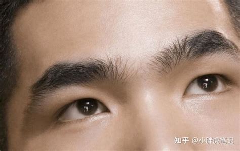 看面相怎么看财运好坏_面相如何看财运好不好,第4张