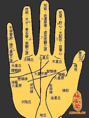 右手长痣代表什么图解_右手长痣代表什么男,第7张 右手长痣代表什么图解_右手长痣代表什么男,第7张