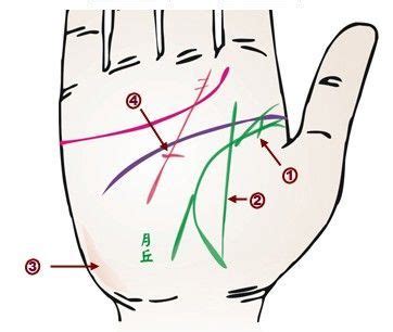 生命线分叉有哪些_生命线分叉20种图解,第3张