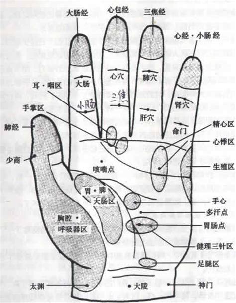 身上带仙看哪个手指_身上带仙看哪里,第4张