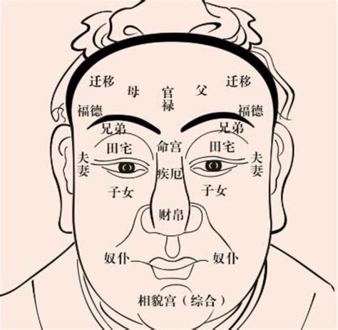 佛说川字纹的女人命运_断掌是什么转世的,第5张