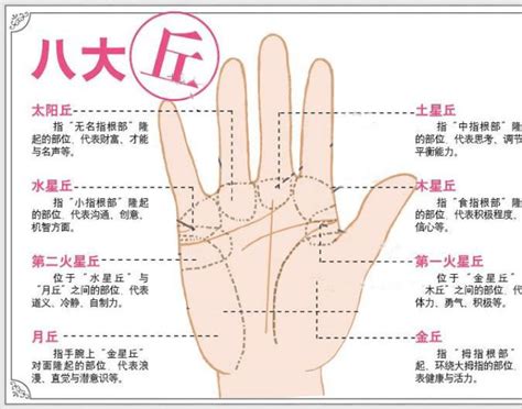 手相怎么看女人_手相怎么看男士,第10张 手相怎么看女人_手相怎么看男士,第10张