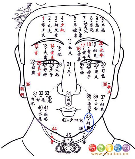 后背有痣代表什么_后背有痣代表什么图解,第17张