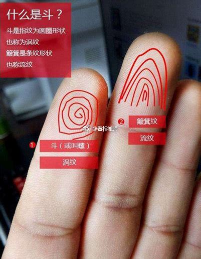 手指纹斗和簸箕图解_男人手指纹斗和簸箕图解,第12张